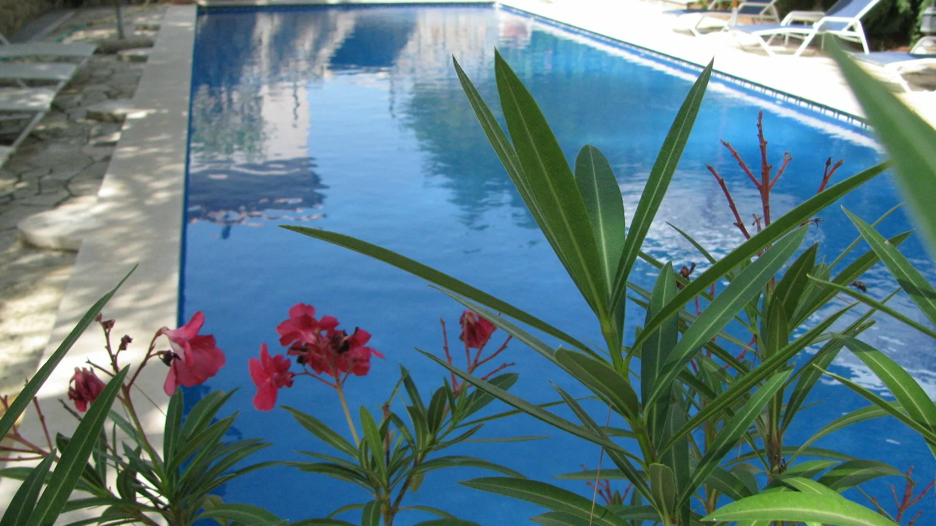 Weingut & Landhotel Can Davero Binissalem Spain