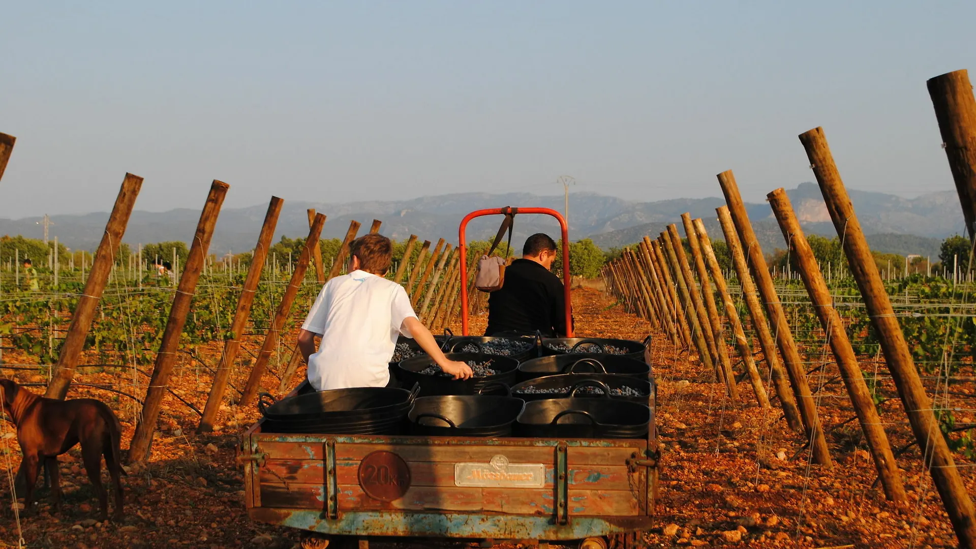 Hotel Weingut & Landhotel Can Davero Binissalem