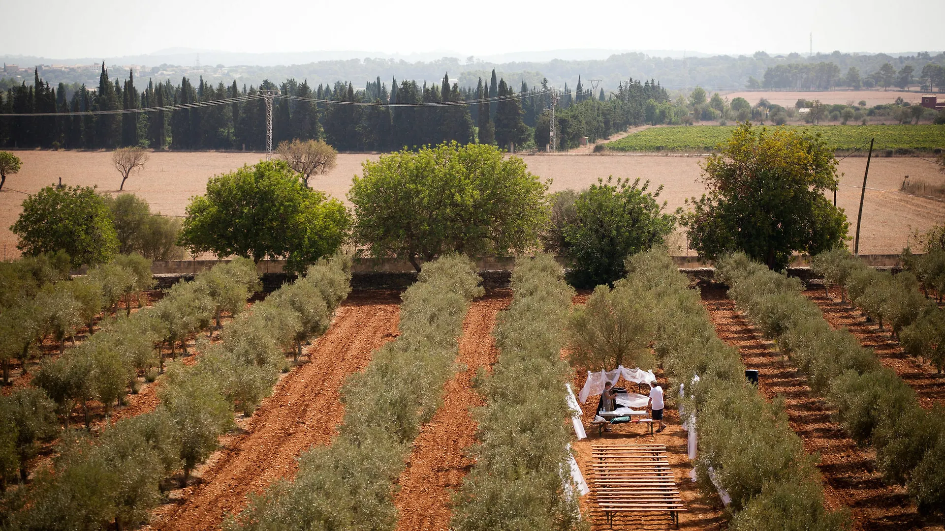 **** Hotel Weingut & Landhotel Can Davero Binissalem Spain